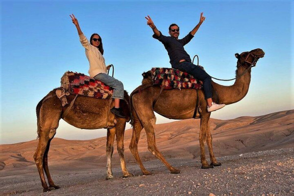 Camel Ride in Riyadh City