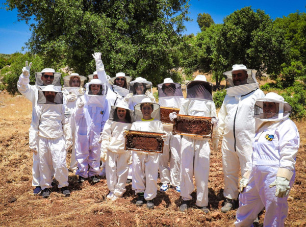 تجربة تربية النحل مع أم أحمد