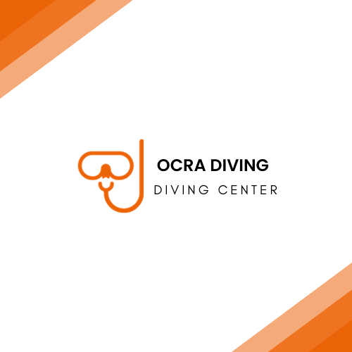 website logo